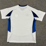 2025/26 Emelec Away White Fans Soccer Jersey 埃梅莱克