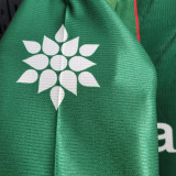 1999 Palmeiras Liberator Cup Champion Green Retro Jersey