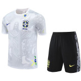 2025/26 Brazil Training Jersey (A Set)
