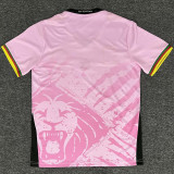 2025/26 Cameroon Training Soccer Jersey
