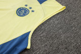 2025 AA Yellow Vest Training Jersey(A Set)