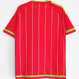 2015/16 Wales Home Red Retro Soccer Jersey