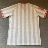 2026/27 Chivas Special Edition Fans Soccer Jersey