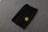 2025/26 BVB  Yellow Training Jersey(A Set)