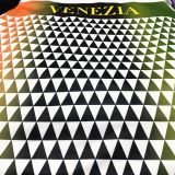 2021/22 Venezia FC Away White Fans Soccer Jersey