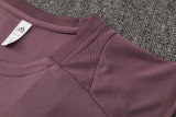2025/26  ARS Grey Purple Vest Training Jersey(A Set)