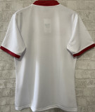 2025 The British & Irish Lions Rugby Shirt 红狮子