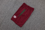 2025/26  Fluminense Red Training Jersey(A Set)