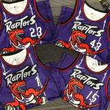 Toronto Raptors CARTER # 15 Retro Purple NBA Jerseys
