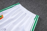 2026/27 Senegal White Jacket Tracksuit