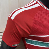 2026/27 Wales Home Red Player Version Soccer Jersey