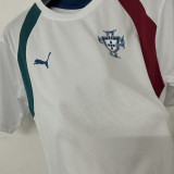 2026/27 Portugal Training Fans Soccer Jersey