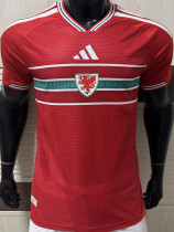 2026/27 Wales Home Red Player Version Soccer Jersey