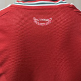 2026/27 Wales Home Red Player Version Soccer Jersey