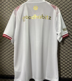 2026/27 PSV Special Edition Fans Soccer Jersey