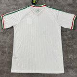 2026/27 Algeria Special Edition Fans Soccer Jersey