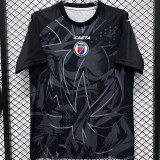 2026/27 Haiti Special Edition Fans Soccer Jersey 海地