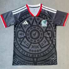2026/27 Mexico Special Edition Fans Soccer Jersey
