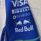 2026 Red Bull Racing F1 Team POLO T-Shirt 有领