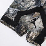 C2525 Jordan Casual Short Pants 树枝影