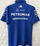 2026 Mercedes AMG Petronas F1 Blue POLO Team T-Shirt  有领