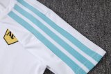 2026/27 Argentina White Training Jersey