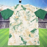 2026/27 Algeria Special Edition Fans Soccer Jersey