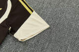 26-27 Flamengo Brown Training Short Suit