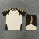 26-27 Flamengo Khaki Training Short Suit
