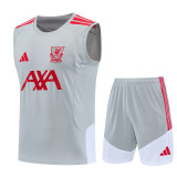 26-27 LIV Gray Tank top and shorts suit