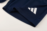 2026/27 AD Royal Blue Training Jersey (A Set) AD13