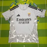 2026/27 Benfica GK Grey Fans Soccer Jersey