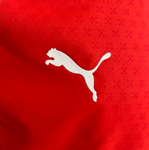 Portugal 2025 Home Player Version Man Jersey
