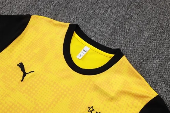 Borussia Dortmund Training Short sleeve Jersey 25/26