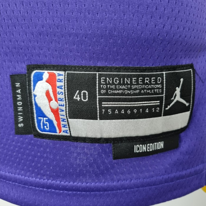LeBron James Los Angeles Lakers 75th Anniversary Swingman Jersey Purple