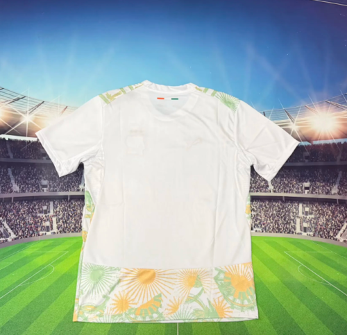 Ivory Coast 2026 World Cup Away Men Jersey