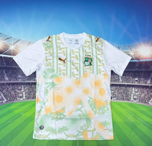 Ivory Coast 2026 World Cup Away Men Jersey