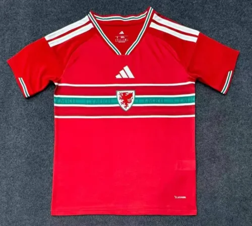 Wales 2026 World Cup Home Men Jersey
