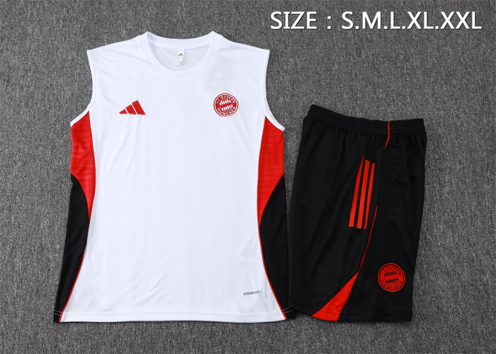 Bayern Munich Training Jersey 25/26