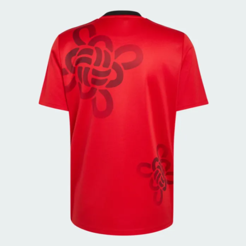 Manchester United Cultural Story Men Jersey 25/26