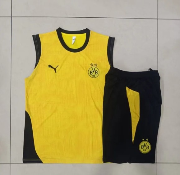 Borussia Dortmund Training Jersey 25/26