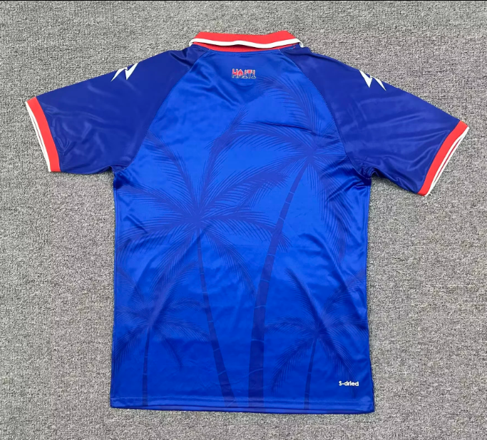 Haiti 2026 World Cup Home Man Jersey