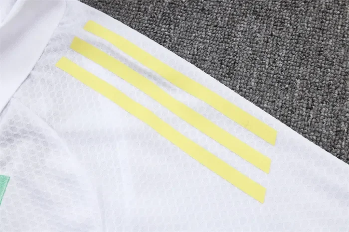 Juventus POLO Jersey 25/26