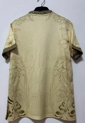 Brazil Special Man Jersey 2025
