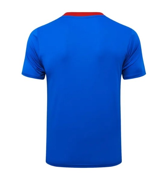 Paris Saint Germain Training Short sleeve Jersey 25/26