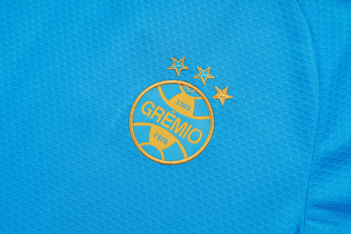 Gremio Training Short sleeve Jersey 25/26
