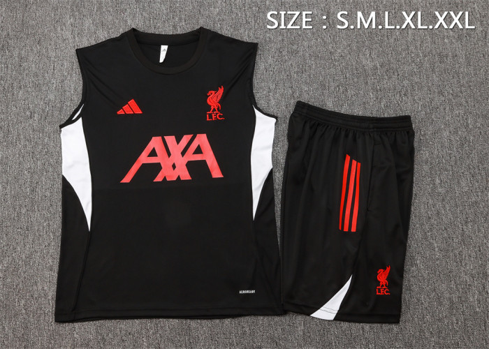 Liverpool Training Jersey 25/26