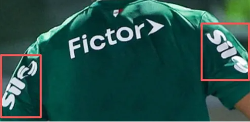 Palmeiras Home Men Player Jersey 26/27