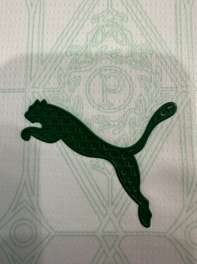 Palmeiras Away Man Jersey Player version 25/26
