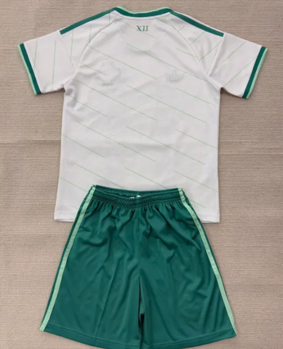Northern Ireland 2026 World Cup Away Men Jersey Suit